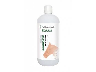 ProBio Equus probiotyk dla koni - 1L